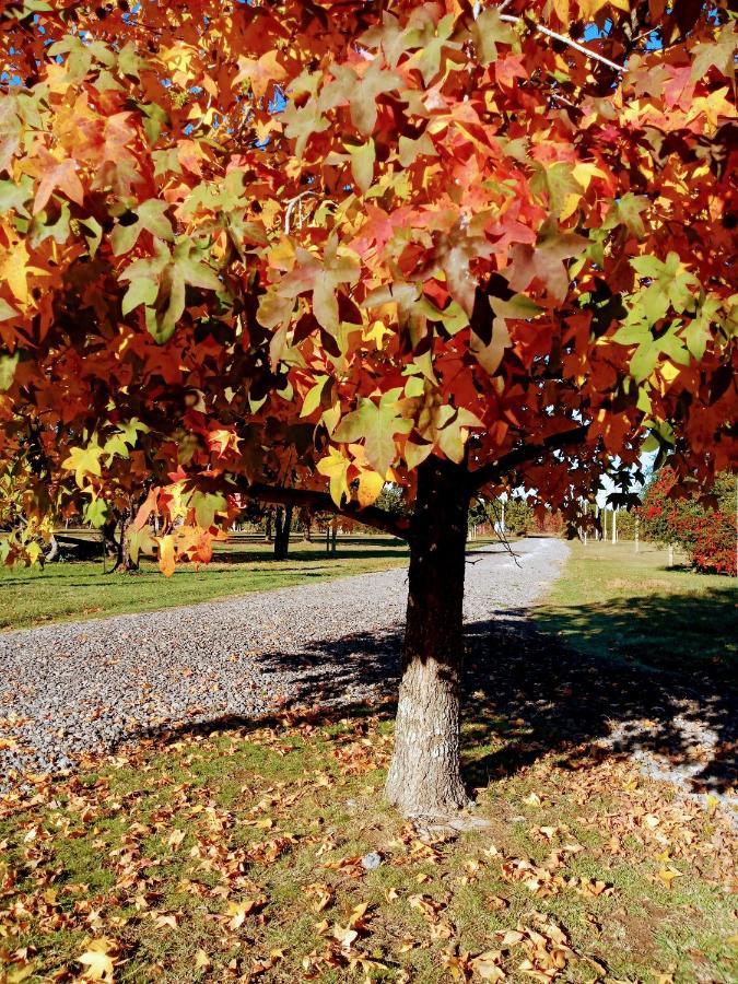 Casa De Campo Liquidambar San Pedro  Esterno foto